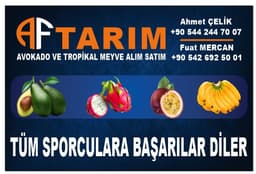 AF TARIM